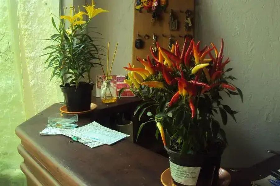 foto-2