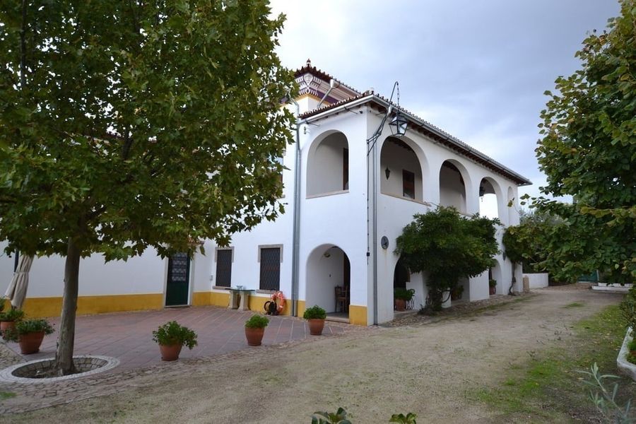 foto-0