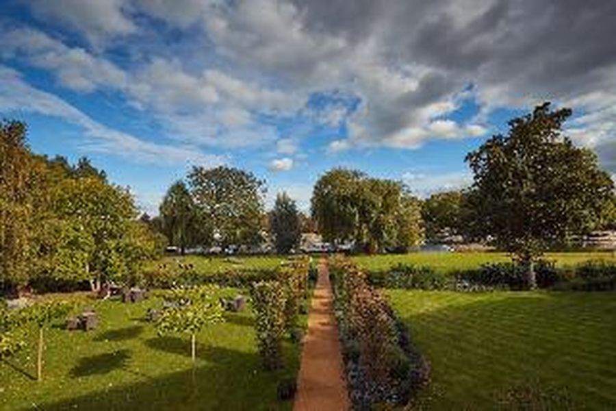 photo-1