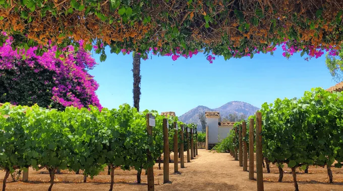 Vinícolas do Chile