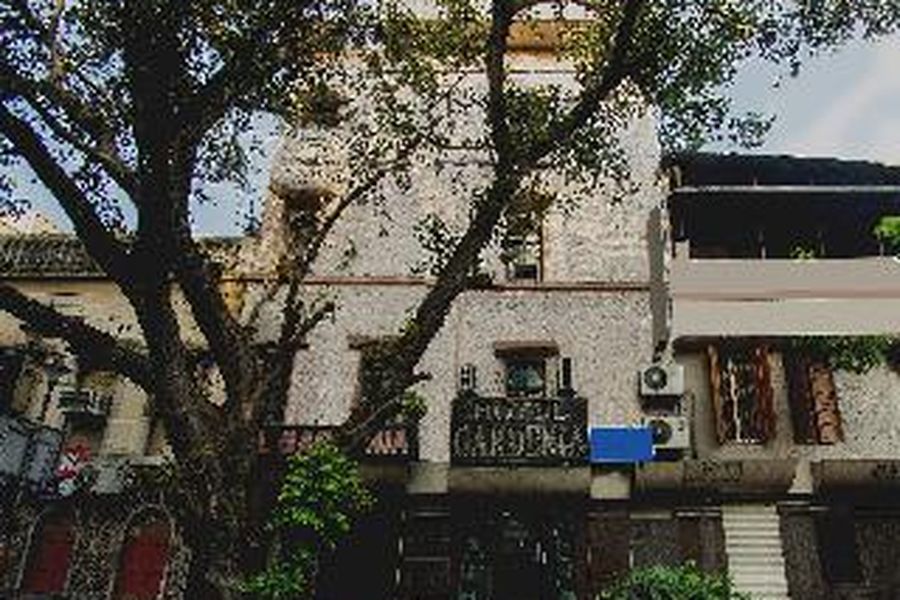 photo-3