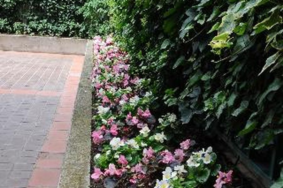 photo-1