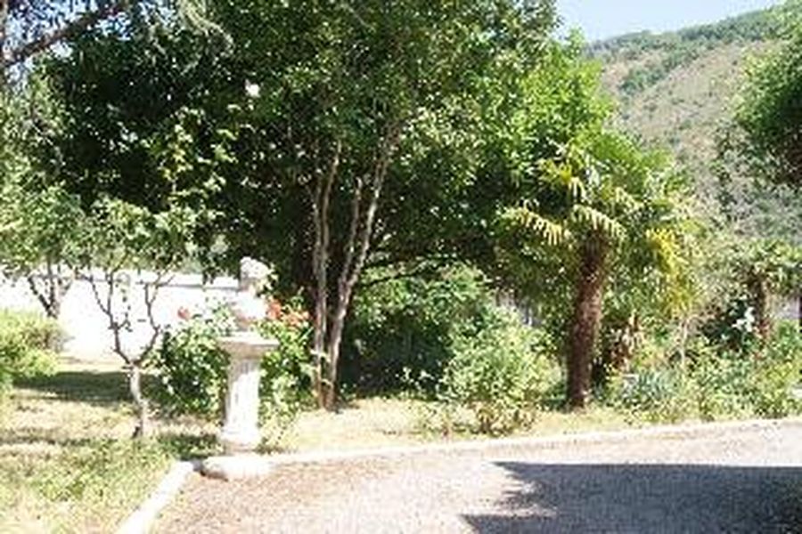 foto-1