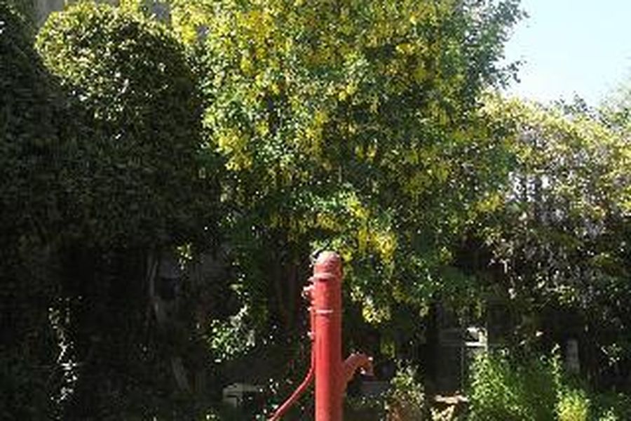 foto-1