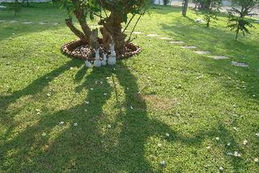foto-1