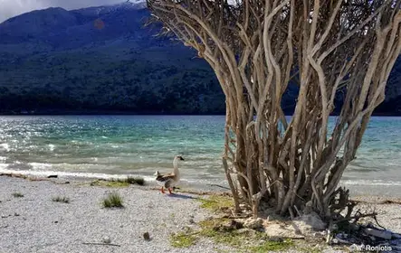 Tour pelo sul intocado de Creta saindo de Rethymno
