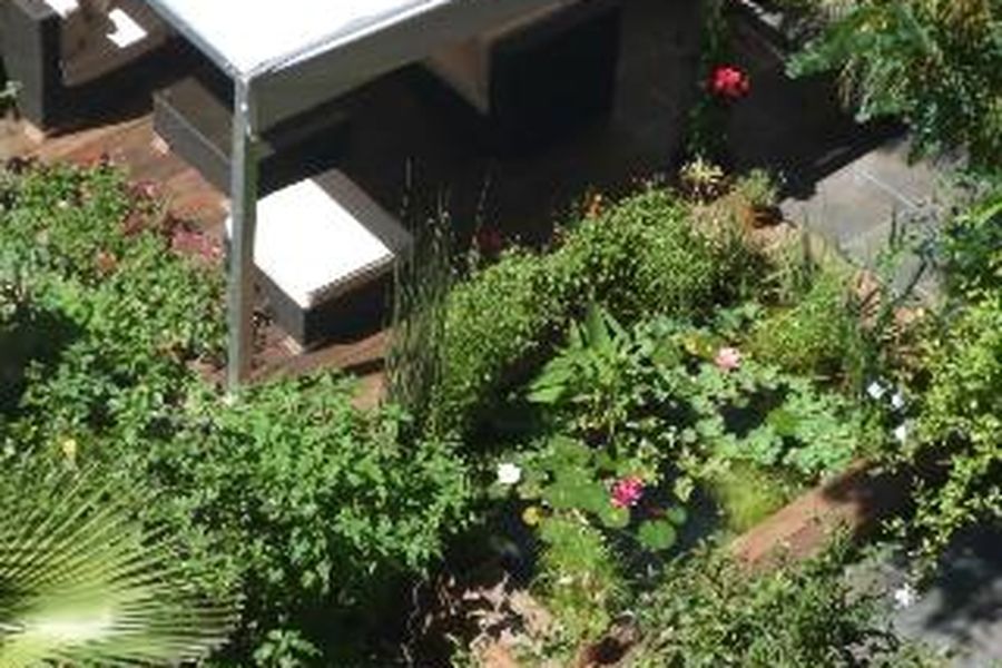 foto-2