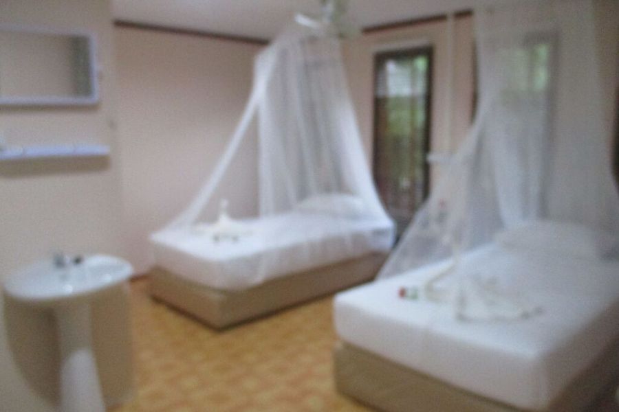 foto-0