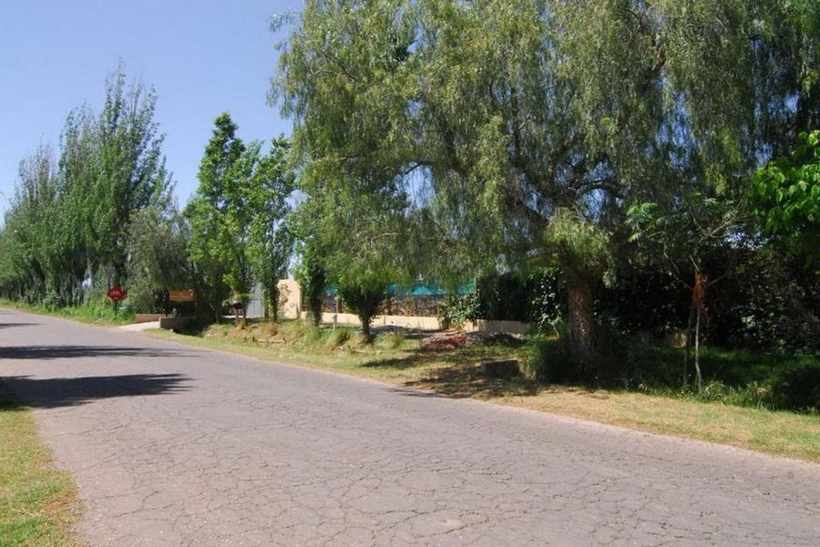 foto-2