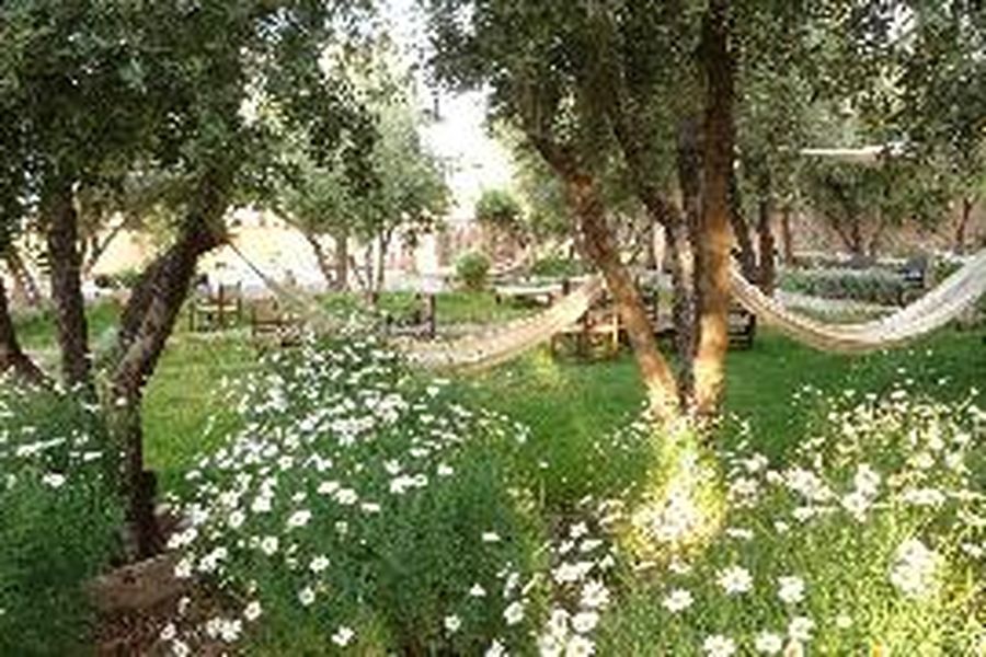 foto-2