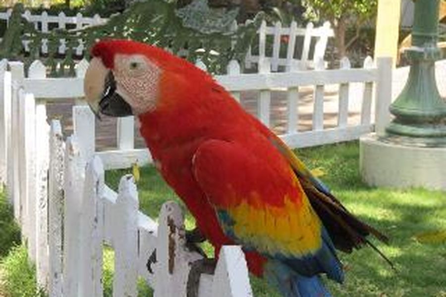 photo-2