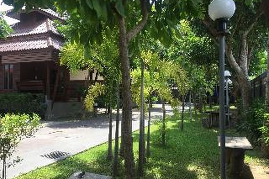 foto-1