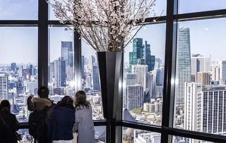 Torre de Tokio: entrada a la cubierta principal + billete para el metro de Tokio