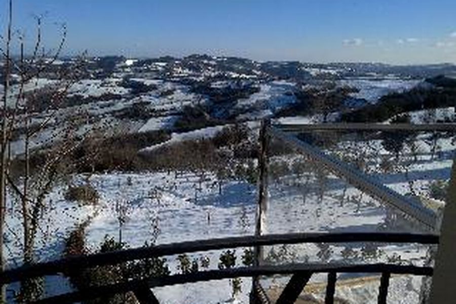 photo-1