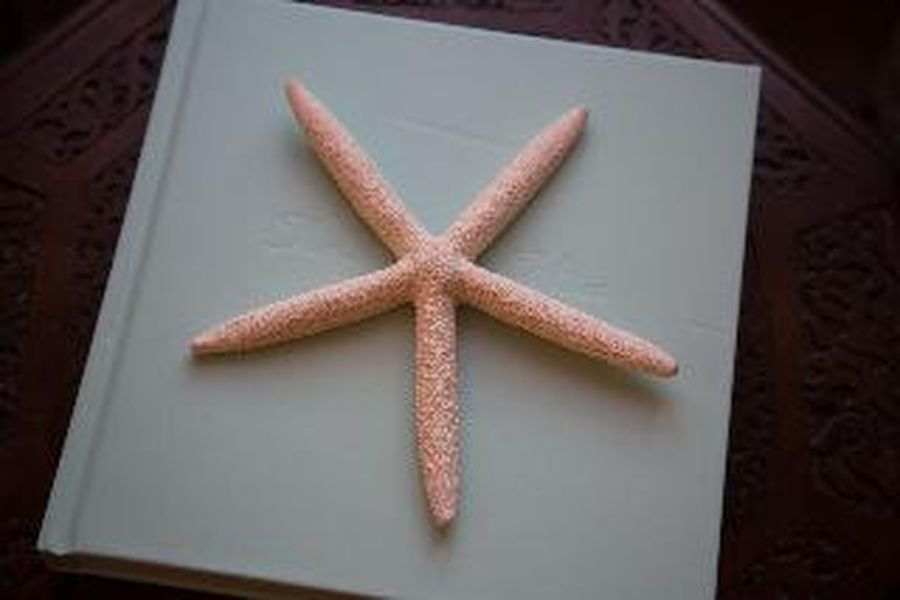photo-3